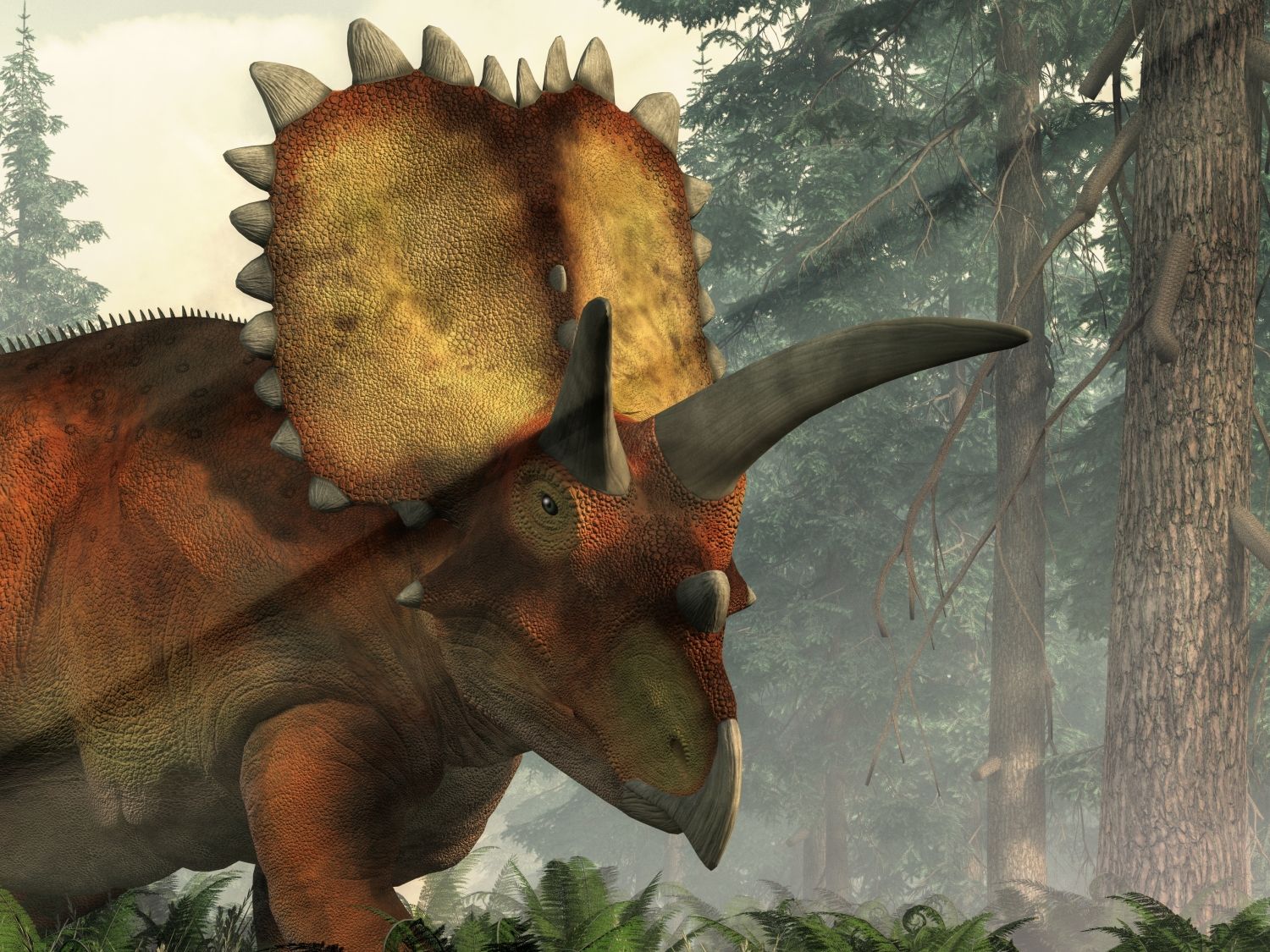 Dinosaurus Coahuilaceratops v detailu hlavy s mohutnými rohy.